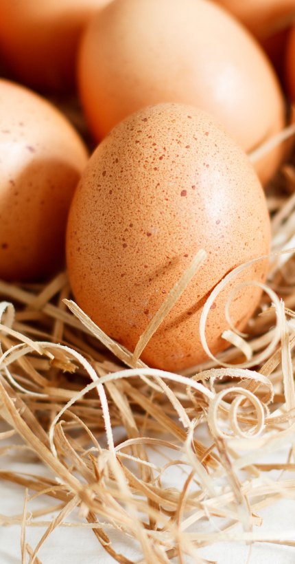 Frische Eier im Stroh